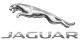 Jaguar Jaguar